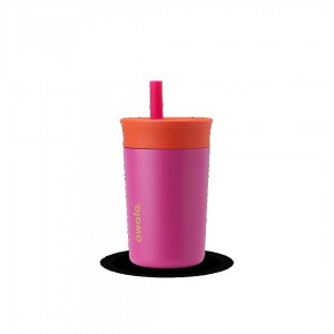 Owala Tumbler Stainless Steel 12 Tumbler Stainless Steel Roze | NLH6360A