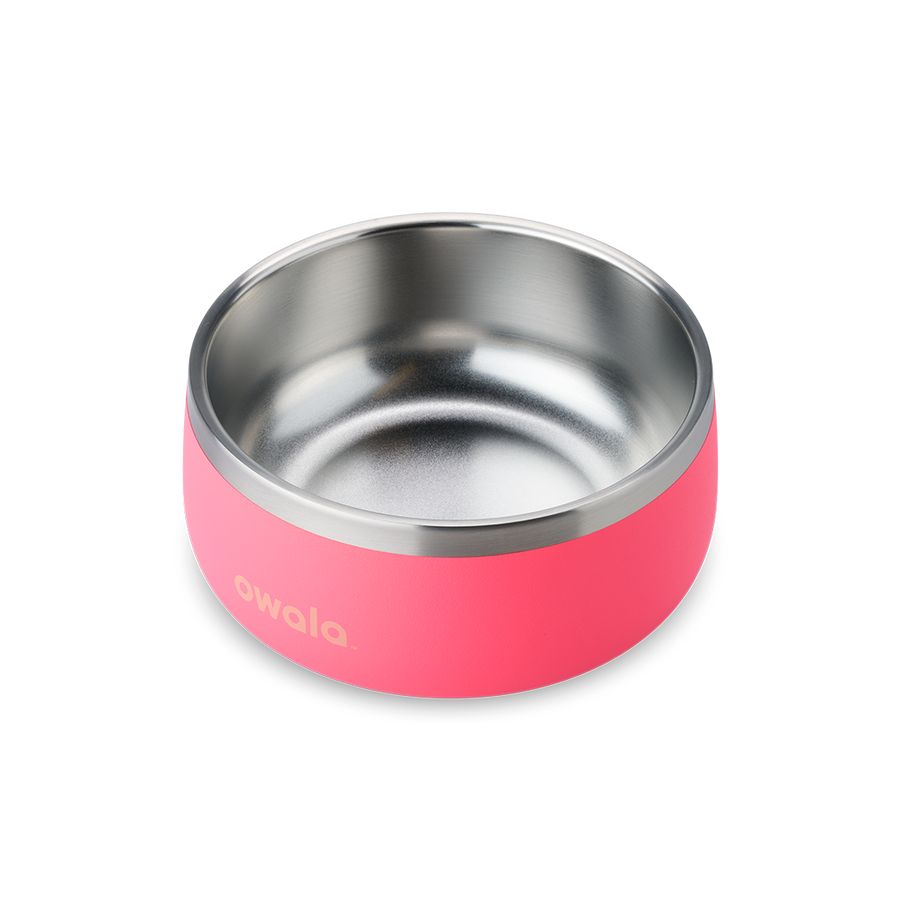 Owala 2 Pet Bowl Hyper Flamingo | NLD6332F