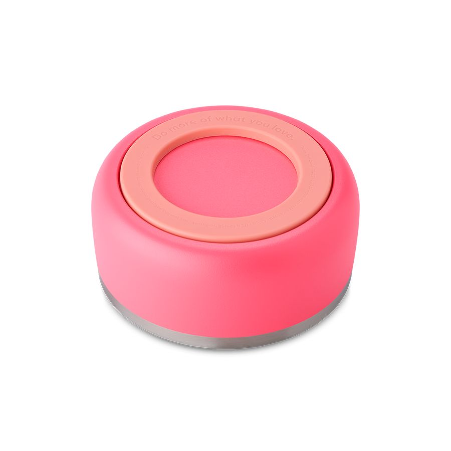 Owala 2 Pet Bowl Hyper Flamingo | NLD6332F