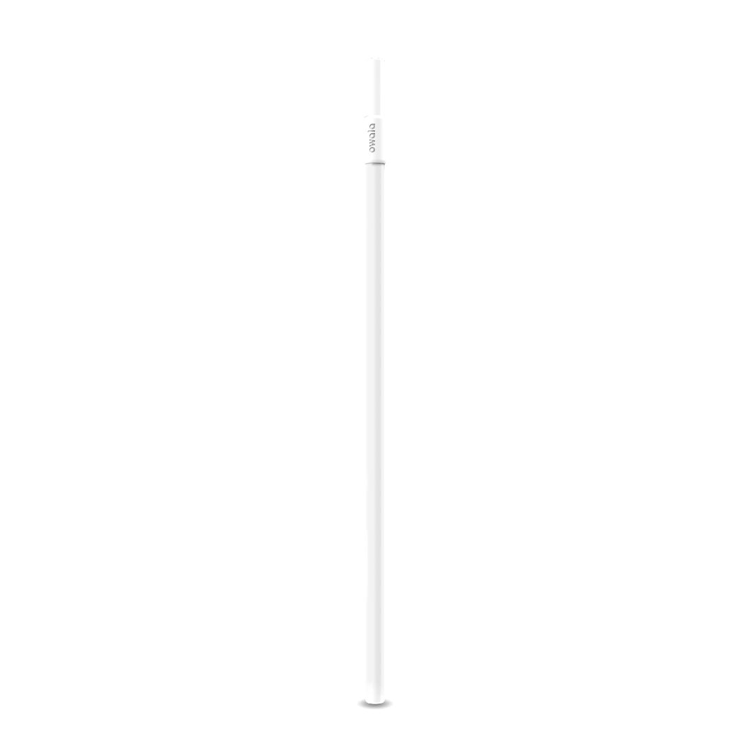 Owala 31 Replacement Straws Wit | NLX6261Y