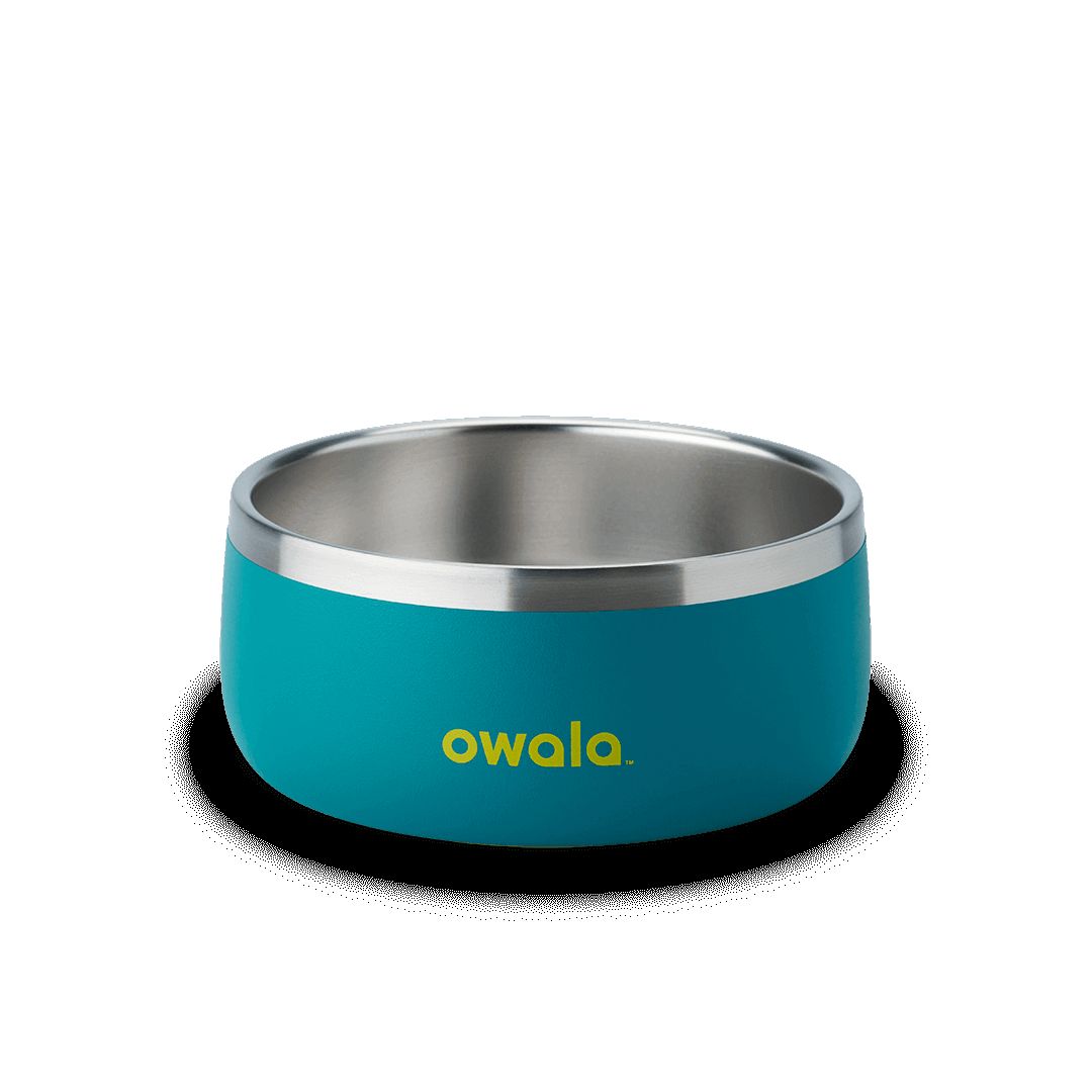 Owala 5 Pet Bowl Turquoise | NLH6329A